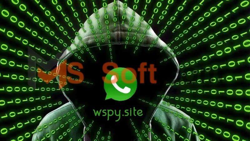 تحميل Waspy site كاشف واتساب للاندوريد والايفون 2024 برابط مباشر مجانا 3 تحميل Waspy site كاشف واتساب 1