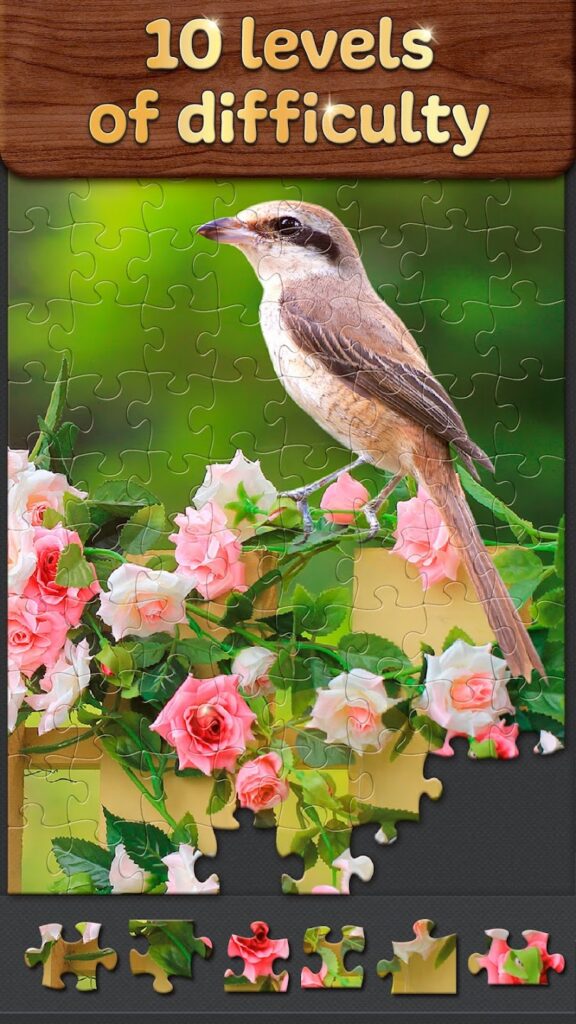 تحميل لعبة Jigsaw Puzzle Collection HD مهكرة للاندرويد والايفون اخر اصدار 2025 برابط مباشر 3 تحميل Jigsaw Puzzle Collection HD