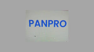 Background رابط موقع Panpro Online للربح من الانترنت 2026 مجانا 